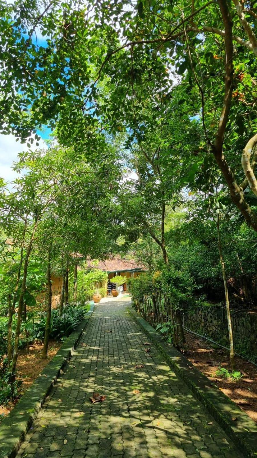 Laluna Eco Resort Pvt Ltd Beruwala Ngoại thất bức ảnh